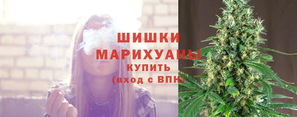ECSTASY Горнозаводск
