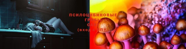 каннабис Горно-Алтайск