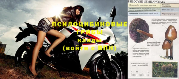 каннабис Горно-Алтайск