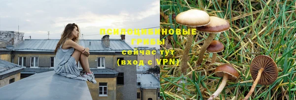 ECSTASY Горнозаводск