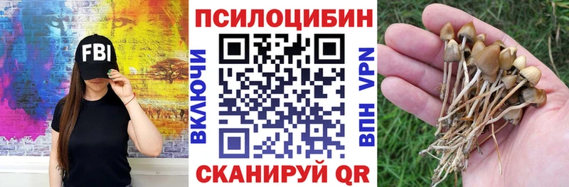 Псилоцибиновые грибы мицелий Железногорск